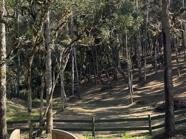 Imagem: TERRENO RURAL em CAMPO ALEGRE - SC, Lageado