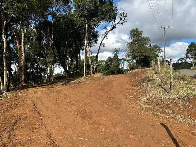 Imagem 6: TERRENO RURAL em CAMPO ALEGRE - SC, Laranjeiras