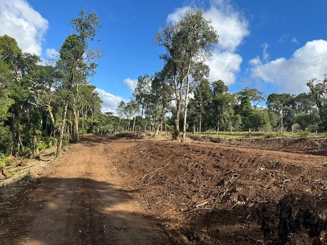 Imagem 7: TERRENO RURAL em CAMPO ALEGRE - SC, Laranjeiras
