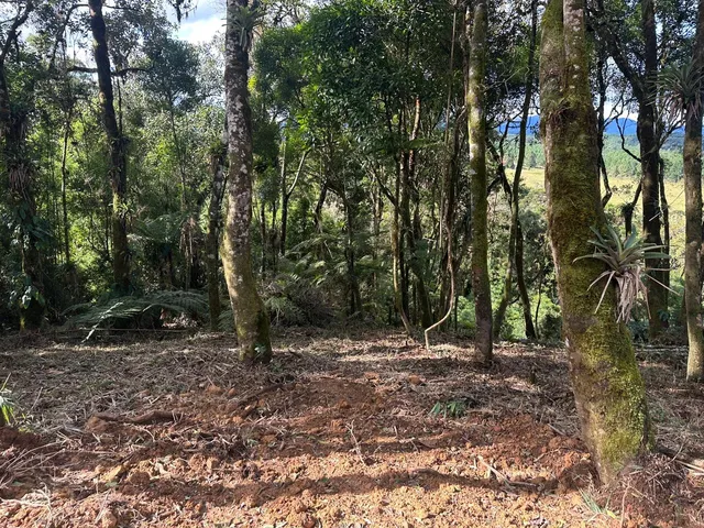 Imagem 3: TERRENO RURAL em CAMPO ALEGRE - SC, Laranjeiras