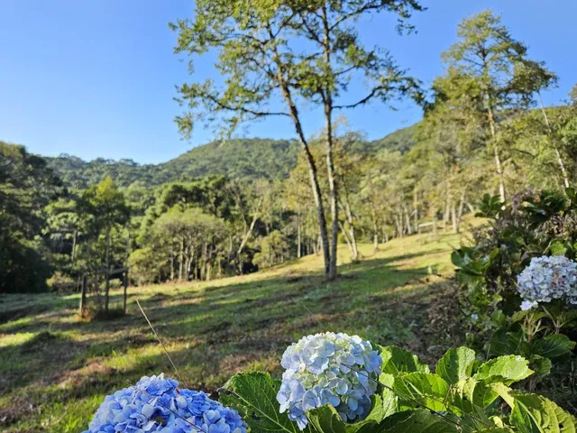 Imagem 13: TERRENO RURAL em CAMPO ALEGRE - SC, São Miguel