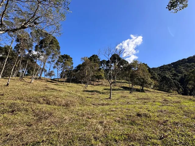 Imagem 5: TERRENO RURAL em CAMPO ALEGRE - SC, São Miguel
