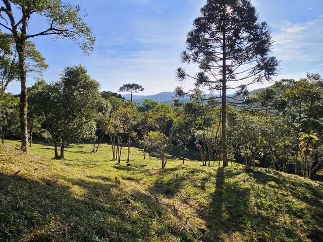 Imagem 6: TERRENO RURAL em CAMPO ALEGRE - SC, São Miguel