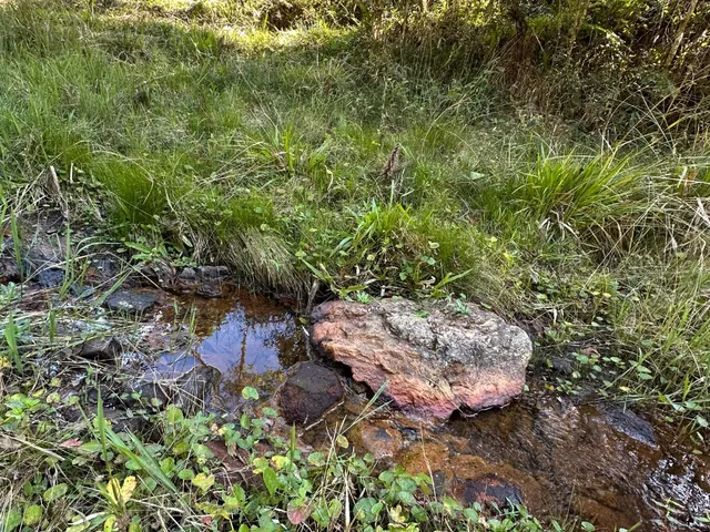 Imagem 2: TERRENO RURAL em CAMPO ALEGRE - SC, São Miguel