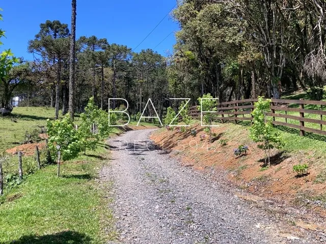 Imagem 5: TERRENO RURAL em CAMPO ALEGRE - SC, São Miguel