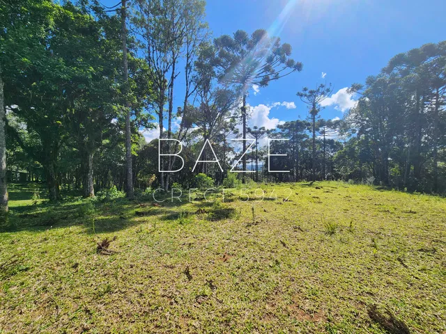 Imagem 14: TERRENO RURAL em CAMPO ALEGRE - SC, São Miguel
