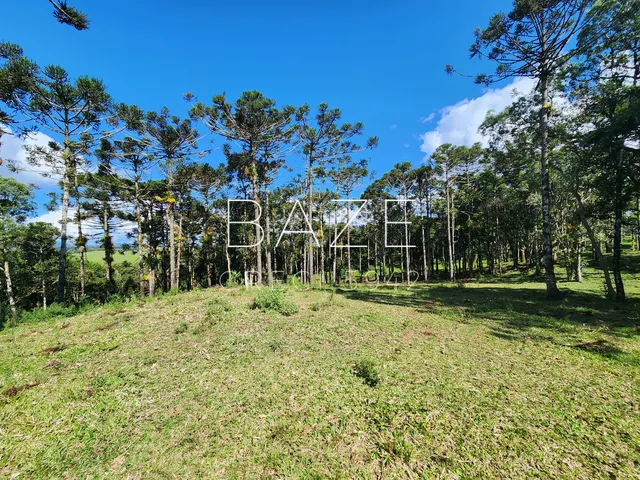 Imagem 8: TERRENO RURAL em CAMPO ALEGRE - SC, São Miguel