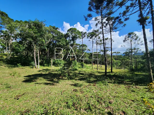 Imagem 7: TERRENO RURAL em CAMPO ALEGRE - SC, São Miguel