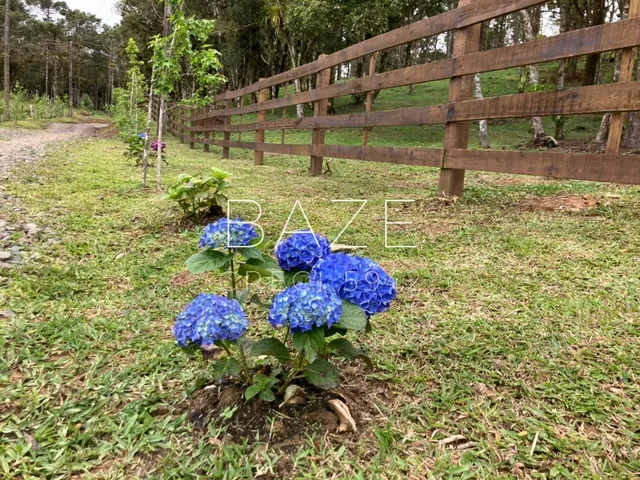 Imagem 3: TERRENO RURAL em CAMPO ALEGRE - SC, São Miguel