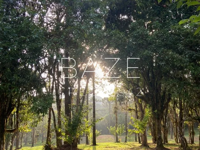 Imagem 13: TERRENO RURAL em CAMPO ALEGRE - SC, São Miguel