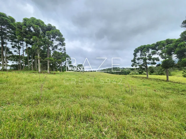 Imagem: TERRENO RURAL em CAMPO ALEGRE - SC, Laranjeiras