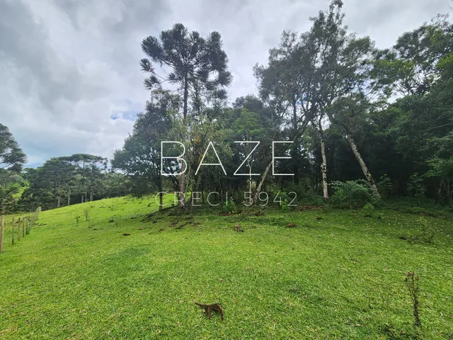Imagem 4: TERRENO RURAL em CAMPO ALEGRE - SC, Laranjeiras