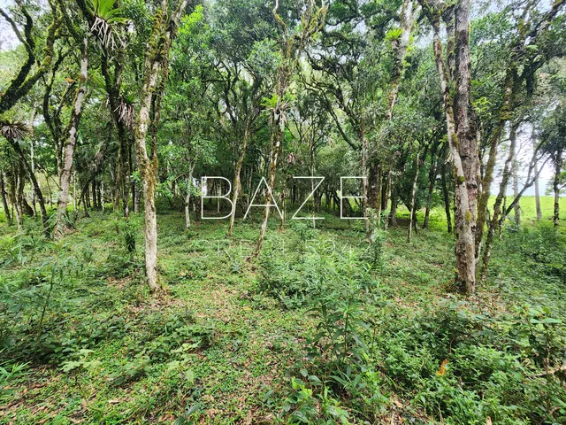 Imagem 9: TERRENO RURAL em CAMPO ALEGRE - SC, Laranjeiras
