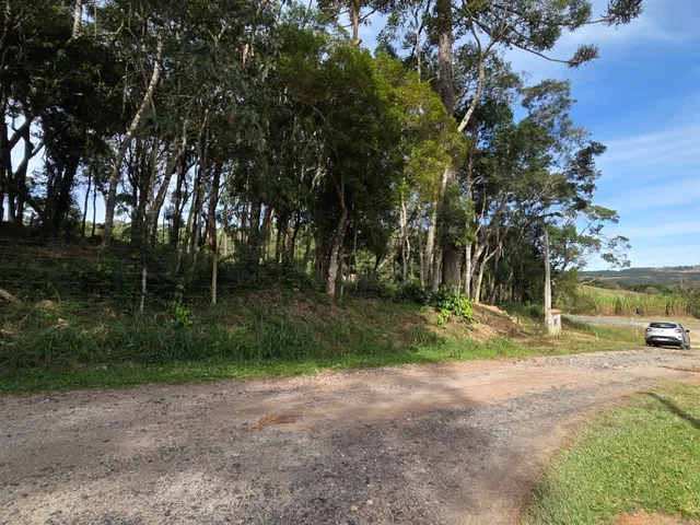 Imagem 4: TERRENO RESIDENCIAL em CAMPO ALEGRE - SC, Campestre