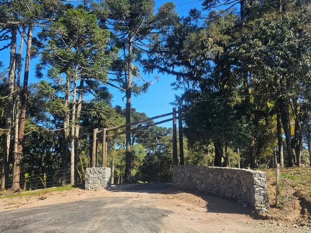 Imagem: TERRENO RURAL em CAMPO ALEGRE - SC, Bateias