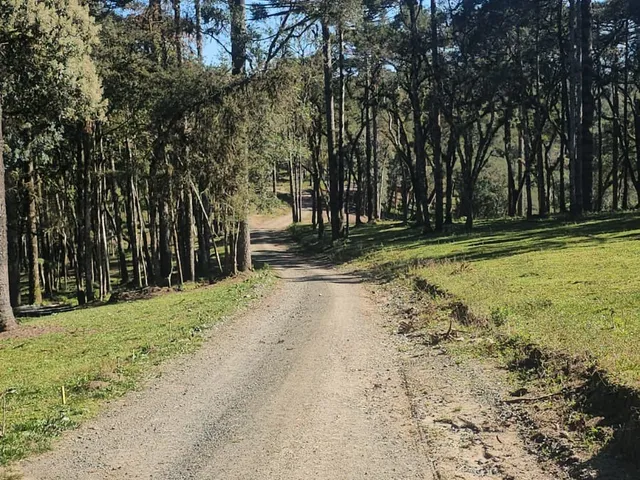 Imagem 2: TERRENO RURAL em CAMPO ALEGRE - SC, Bateias de Cima