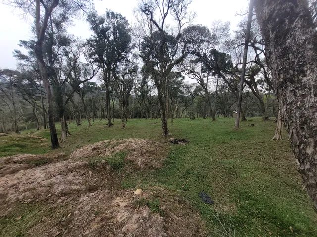 Imagem 6: TERRENO RURAL em CAMPO ALEGRE - SC, Bateias de Cima