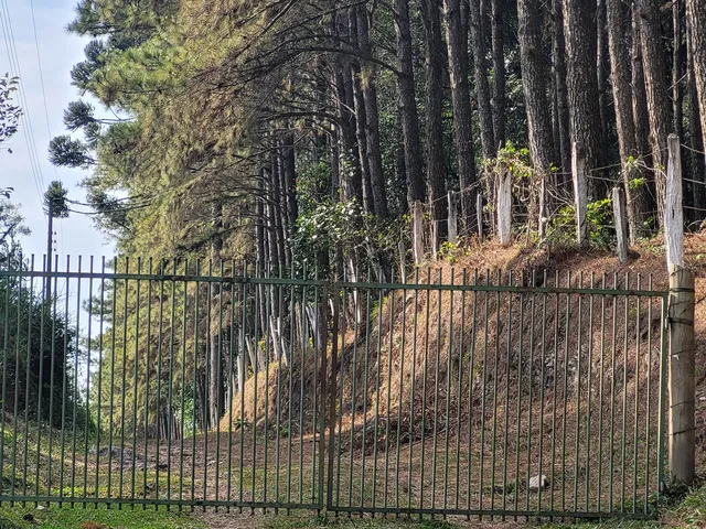 Imagem 4: TERRENO RURAL em Campo Alegre - SC, Rio Vermelho