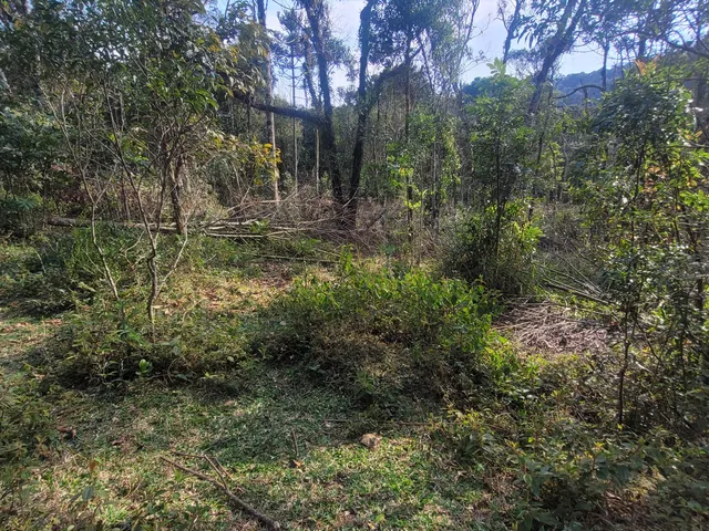 Imagem 3: TERRENO RURAL em Campo Alegre - SC, Rio Vermelho