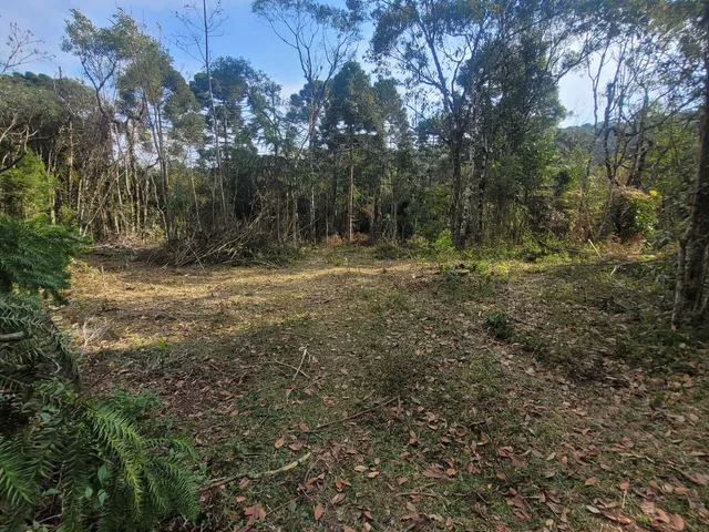 Imagem 5: TERRENO RURAL em Campo Alegre - SC, Rio Vermelho