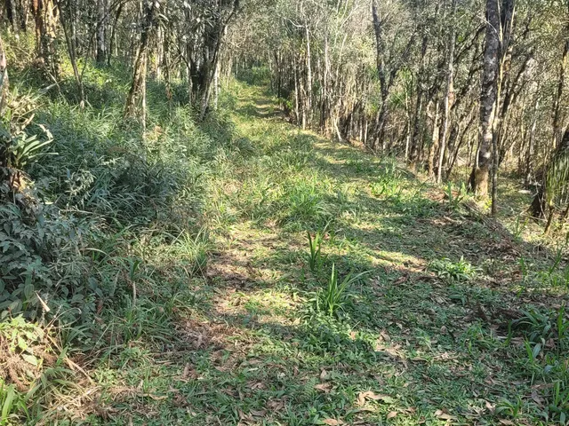 Imagem 4: TERRENO RURAL em CAMPO ALEGRE - SC, Salto