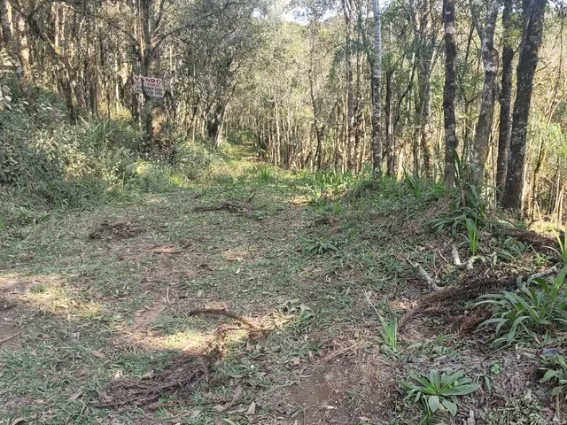 Imagem 8: TERRENO RURAL em CAMPO ALEGRE - SC, Salto