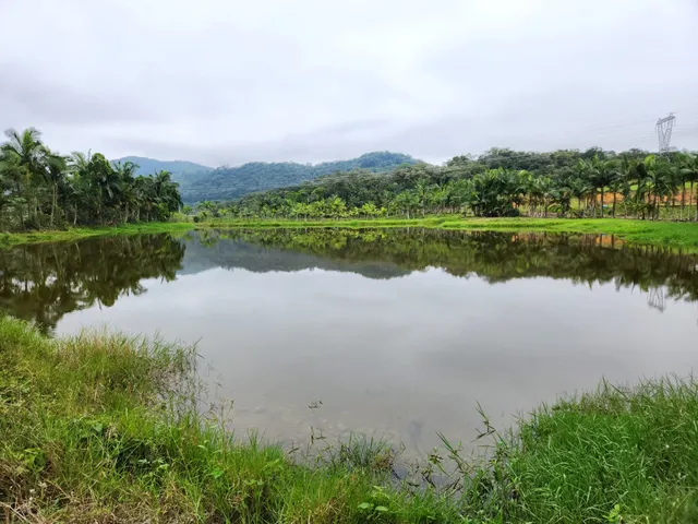 Imagem: TERRENO RURAL em Joinville - SC, Vila Nova