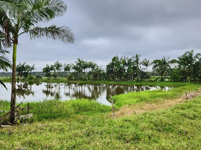 Imagem 9: TERRENO RURAL em Joinville - SC, Vila Nova
