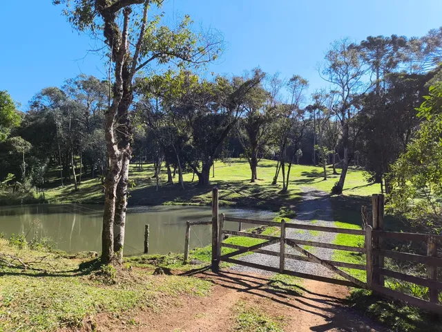 Imagem 1: TERRENO RURAL em CAMPO ALEGRE - SC, Serrinha