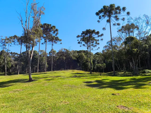 Imagem 6: TERRENO RURAL em CAMPO ALEGRE - SC, Serrinha