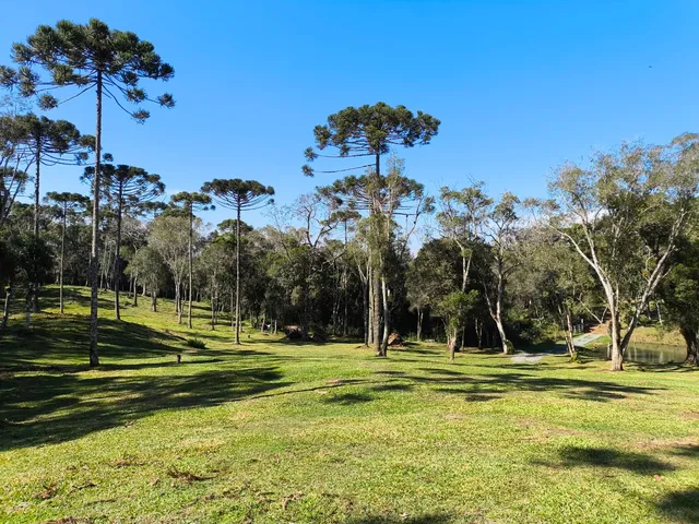 Imagem 2: TERRENO RURAL em CAMPO ALEGRE - SC, Serrinha
