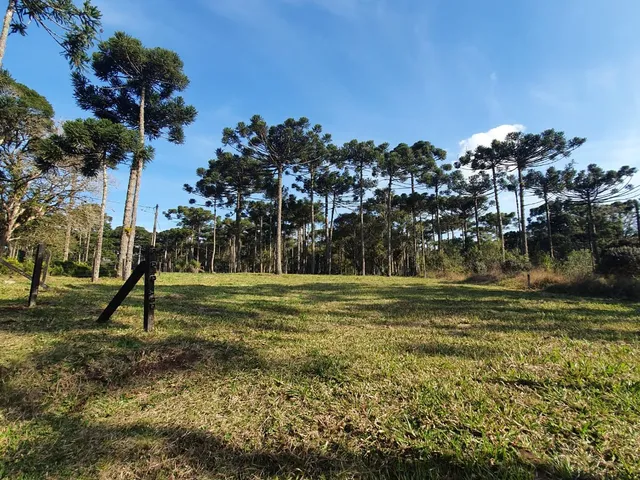 Imagem: TERRENO RURAL em CAMPO ALEGRE - SC, Rio