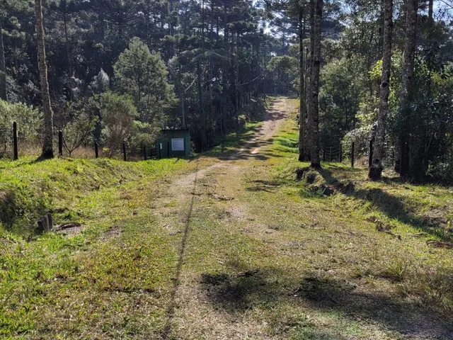 Imagem 9: TERRENO RURAL em CAMPO ALEGRE - SC, Rio Vermelho