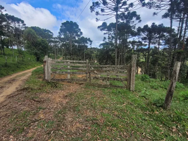 Imagem 9: TERRENO RURAL em CAMPO ALEGRE - SC, Laranjeiras