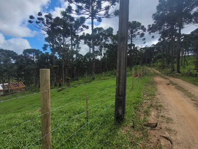 Imagem 4: TERRENO RURAL em CAMPO ALEGRE - SC, Laranjeiras