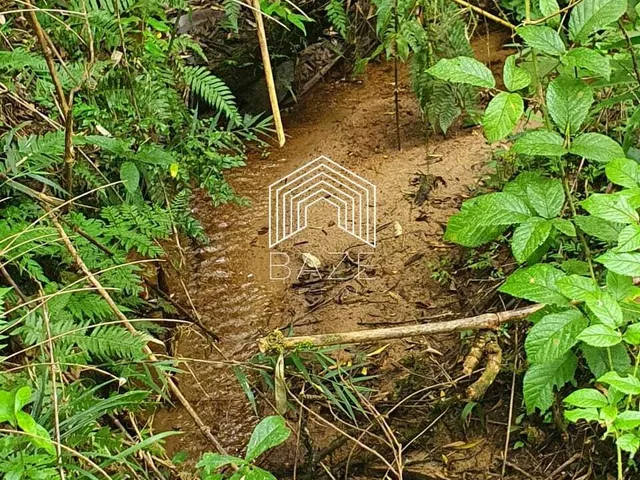 Imagem 3: TERRENO RURAL em CAMPO ALEGRE - SC, Laranjeiras