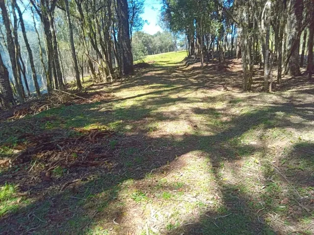 Imagem 2: TERRENO RURAL em CAMPO ALEGRE - SC, Bateias de Baixo
