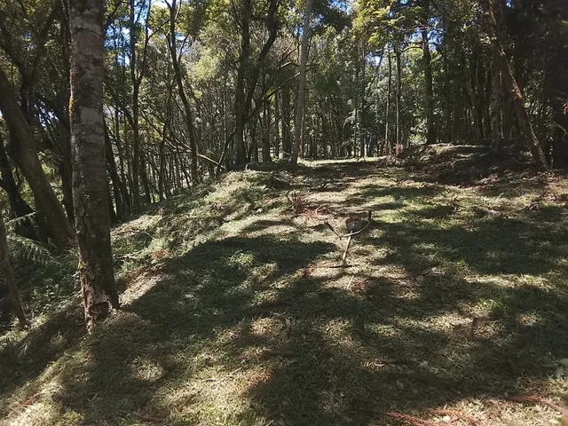 Imagem 4: TERRENO RURAL em CAMPO ALEGRE - SC, Bateias de Baixo