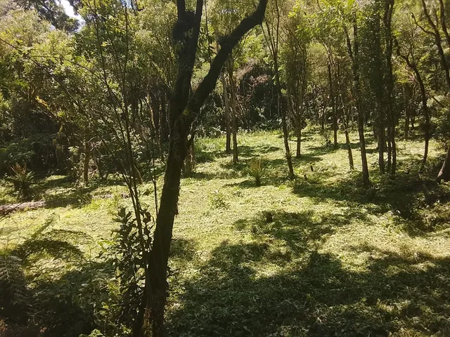 Imagem 5: TERRENO RURAL em CAMPO ALEGRE - SC, Bateias de Baixo