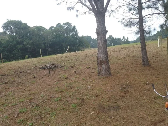Imagem 3: TERRENO RURAL em CAMPO ALEGRE - SC, Bateias de Baixo