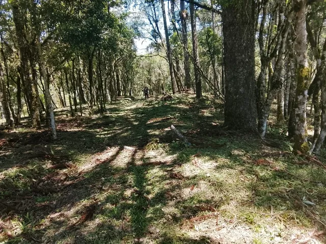 Imagem 6: TERRENO RURAL em CAMPO ALEGRE - SC, Bateias de Baixo