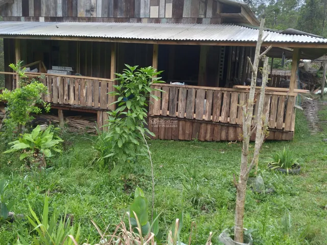 Imagem: Sítio com casa estilo antigo com madeira
