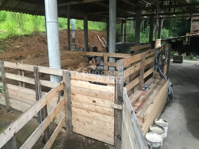 Imagem 8: Ótimo Sítio a Venda em Pinheral Sc. com 40.000M². Propriedade Equipada para Criação de Animais