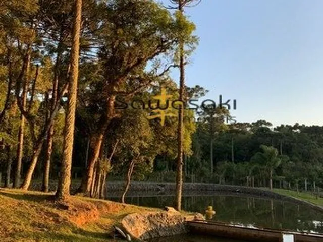 Imagem 3: Chácara para Venda