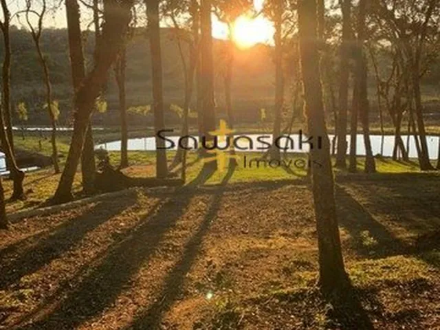 Imagem 2: Chácara para Venda