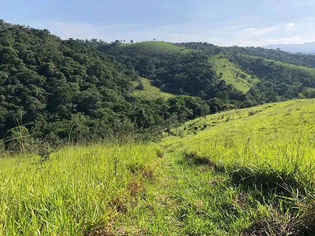 Imagem 11: Vendo Lotes 500M² com Vista para Lago