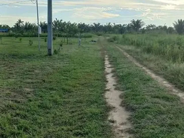 Imagem: Vendo Chácara 50X100