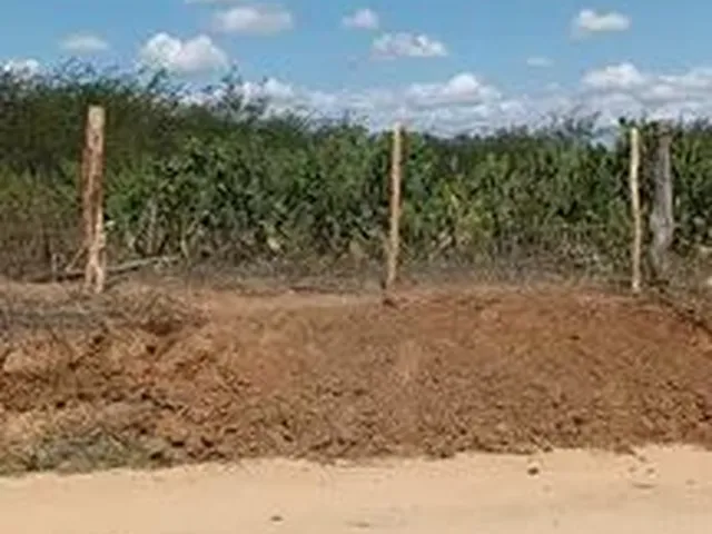 Imagem 2: Propriedade a Venda 4 Tarefas + Palmas