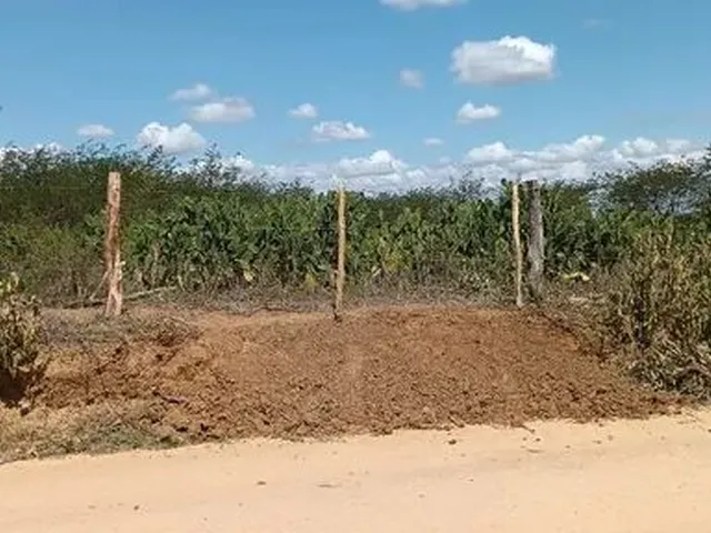 Imagem 3: Propriedade a Venda 4 Tarefas + Palmas