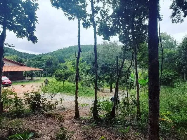 Imagem 2: Sítio - Antônio dos Santos - Caeté/Mg